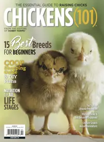 Chickens 101 
                issue Chickens 101