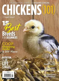 Chickens 101 
                issue Chickens 101