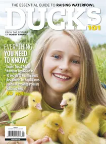 Ducks 101 
                issue Ducks 101