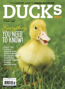 Chickens Magazine Ducks 101