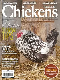 Chickens Magazine 
                issue JanFeb 2021