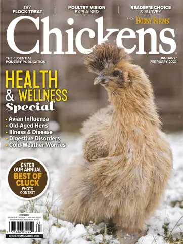 Chickens Magazine Preview