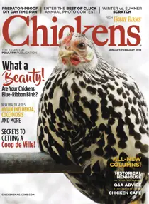 JanFeb18 
                issue JanFeb18