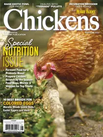 Chickens Magazine May/Jun 23