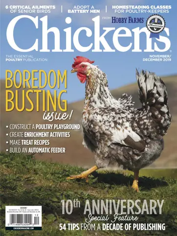 Chickens Magazine Preview