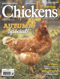 Chickens Magazine Nov/Dec 23