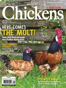 Chickens Magazine Sept/Oct 23