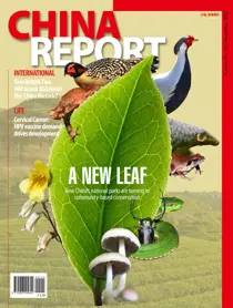 Issue 115 
                issue Issue 115