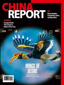 Issue 160 
                issue Issue 160