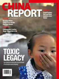 Issue 25 
                issue Issue 25