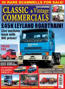 November 2020 
                issue November 2020