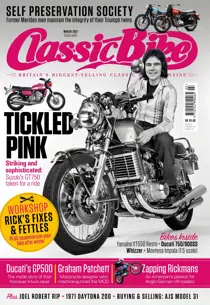 March 2021 
                issue March 2021