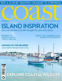 November 2020 
                issue November 2020