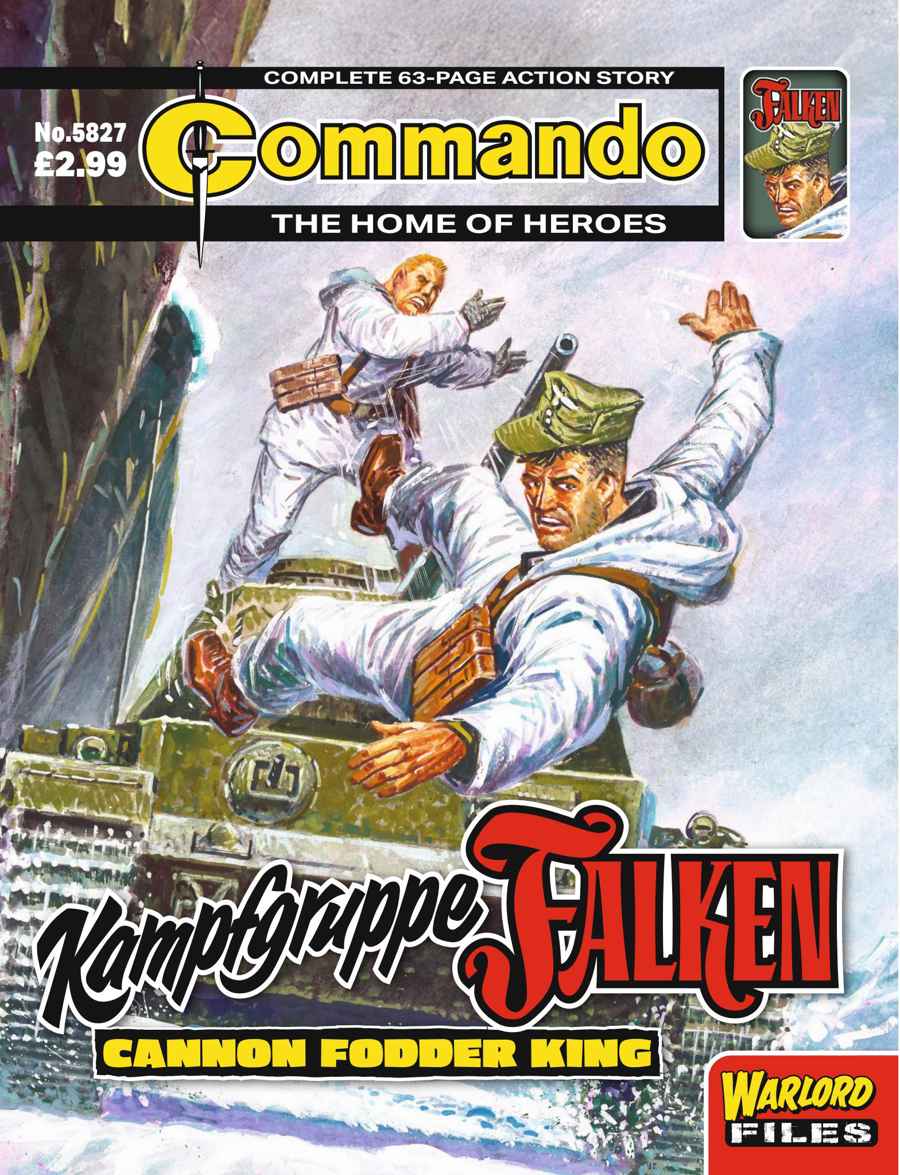 COMMANDO HOME OF HEROES