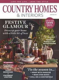 January 2017 
                issue January 2017