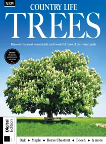 Country Life: Book of Trees Second Edition 
                issue Country Life: Book of Trees Second Edition