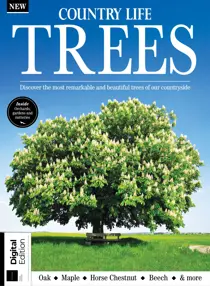 Country Life Bookazine 
                issue Country Life: Book of Trees Third Edition