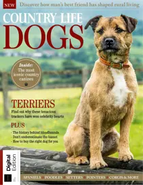 Country Life Bookazine 
                issue Country Life: Dogs Fifth Edition