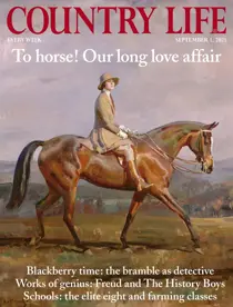 01-Sep-2021 
                issue 01-Sep-2021