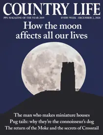 02-Dec-2020 
                issue 02-Dec-2020