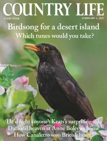 03-Feb-2021 
                issue 03-Feb-2021