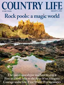 04-Aug-2021 
                issue 04-Aug-2021