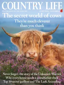 04-Nov-2020 
                issue 04-Nov-2020