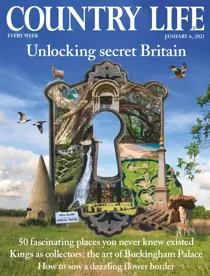 06-Jan-2021 
                issue 06-Jan-2021