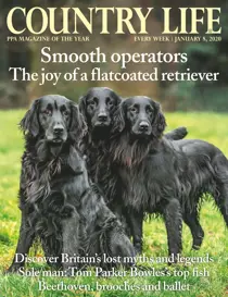 08-Jan-2020 
                issue 08-Jan-2020