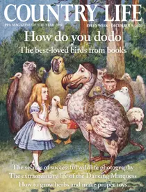 09-Dec-2020 
                issue 09-Dec-2020