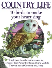 09-Sep-2020 
                issue 09-Sep-2020