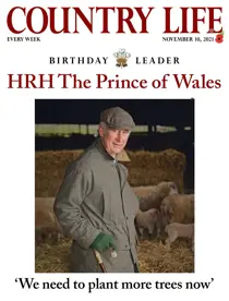 10-Nov-2021 
                issue 10-Nov-2021