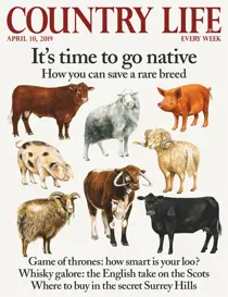 10th April 2019 
                issue 10th April 2019