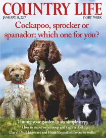 11th January 2017 
                issue 11th January 2017