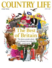 Complete your Collection Cover 1