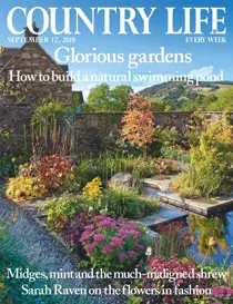 12th September 2018 
                issue 12th September 2018