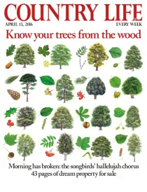 13th April 2016 
                issue 13th April 2016