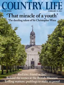 15-Feb-2023 
                issue 15-Feb-2023