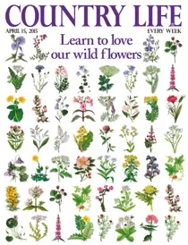 15th April 2015 
                issue 15th April 2015