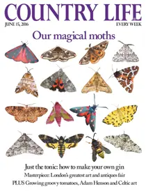 15th June 2016 
                issue 15th June 2016