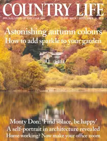 16-Sep-2020 
                issue 16-Sep-2020