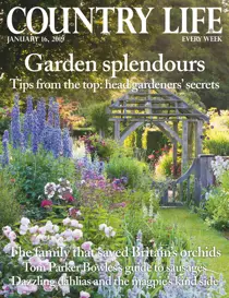 16th January 2019 
                issue 16th January 2019