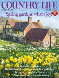 16th March 2016 
                issue 16th March 2016