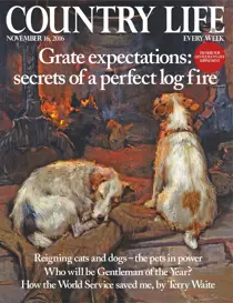 16th November 2016 
                issue 16th November 2016