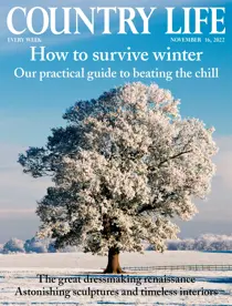 16th November 2022 
                issue 16th November 2022