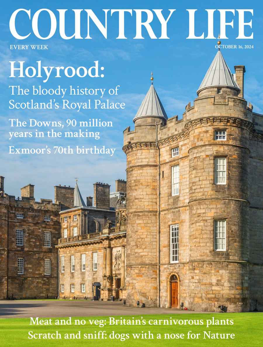 Country Life issue 16th October 2024