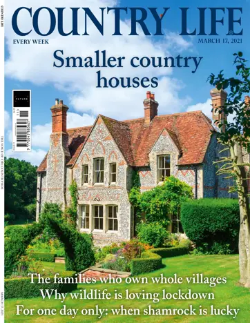 Country Life Preview