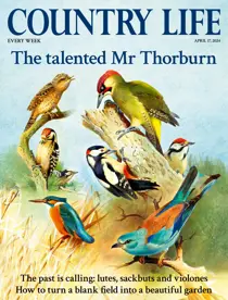 17th April 2024 
                issue 17th April 2024