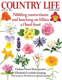 17th May 2017 
                issue 17th May 2017