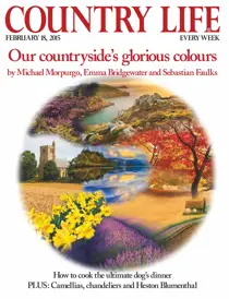 18th February 2015 
                issue 18th February 2015